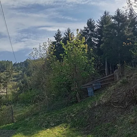 Borjomi Forest Exterior photo