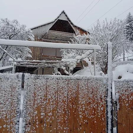 Borjomi Forest Exterior photo
