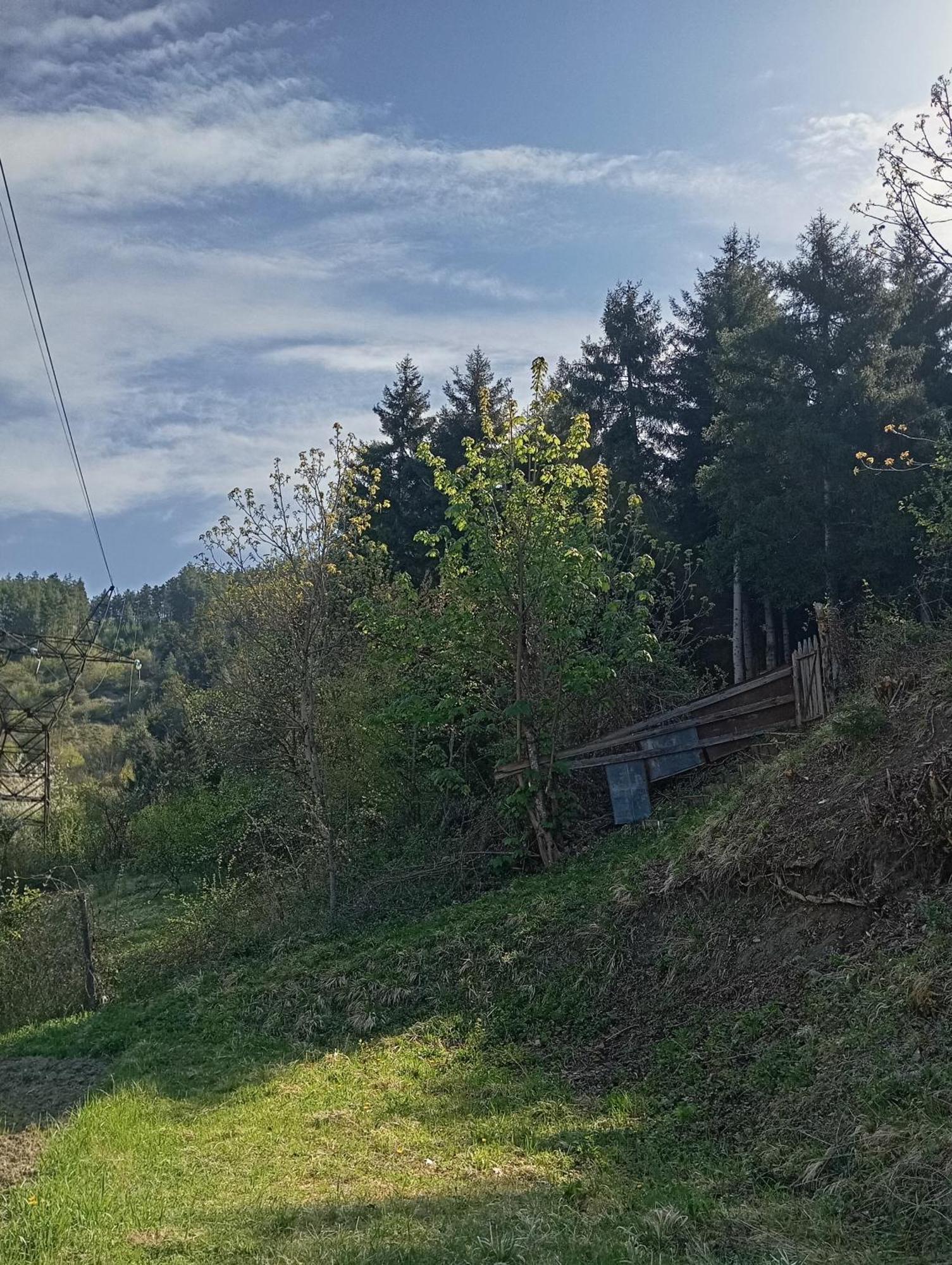 Forest Holiday home