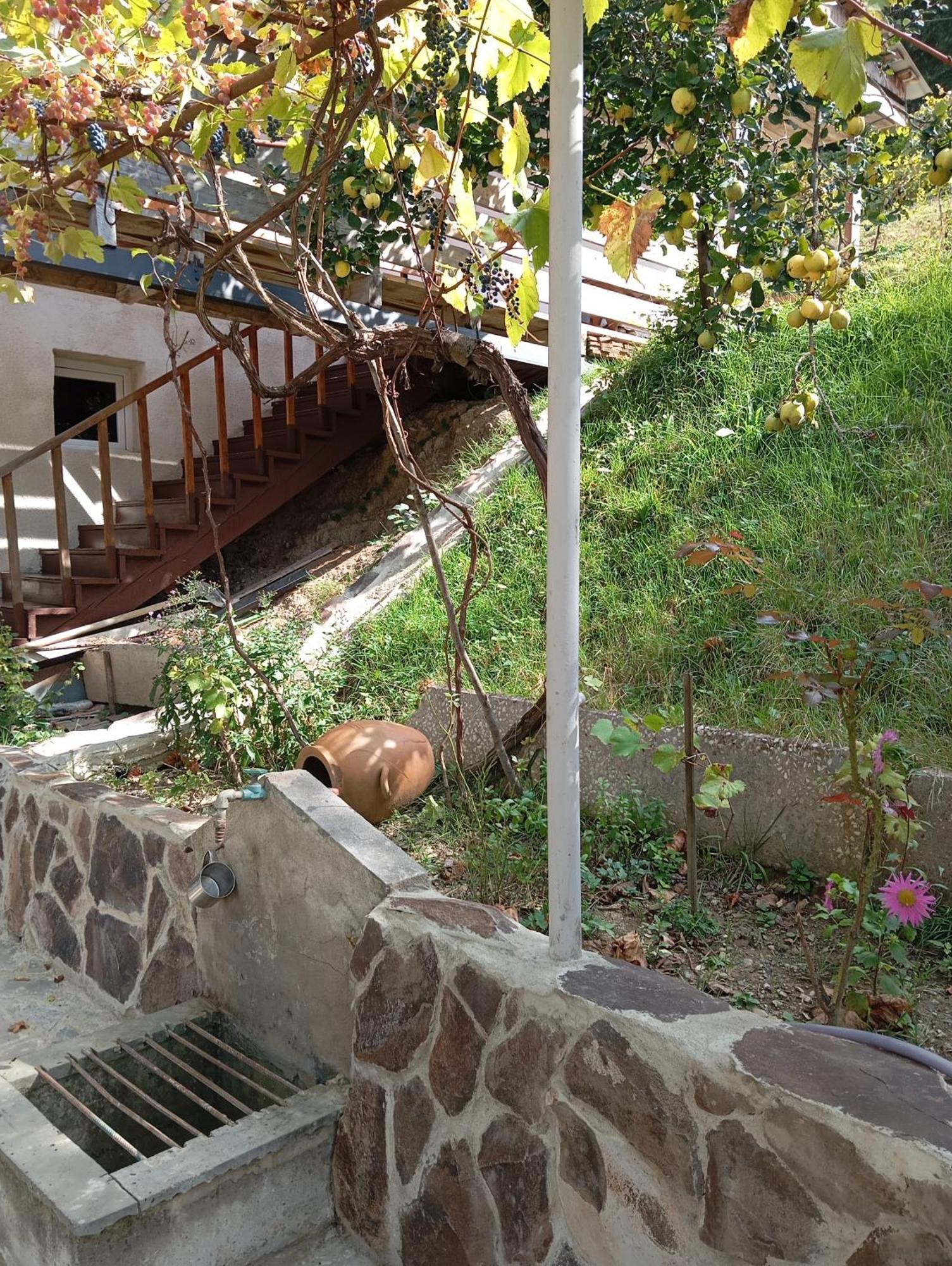 Holiday home Forest Borjomi