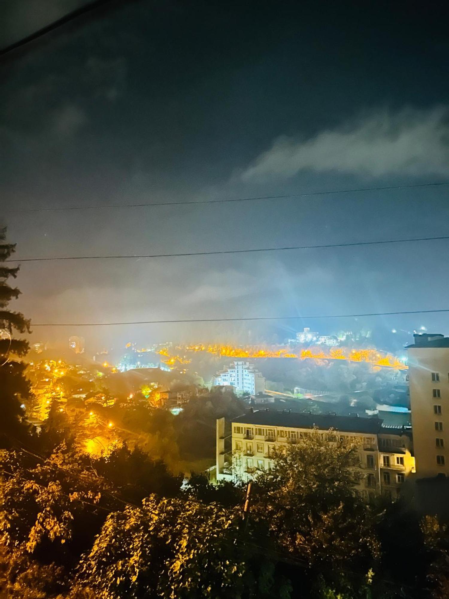 Forest * Borjomi